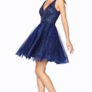 Maniju Elegant Navy Blue Women's Dress